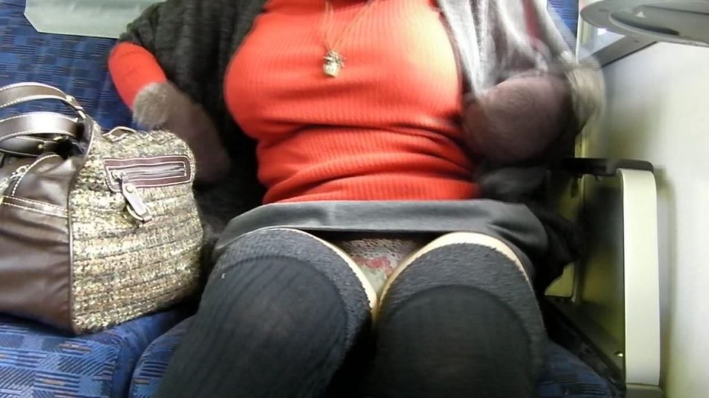 【パンチラ盗撮】電車内で対面座席の女の子のパンツを堂々と盗撮する強心臓ニキｗｗｗｗｗｗｗｗｗ・19枚目